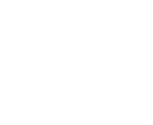 Ericsson Wireless white company logo with three line emblem above it.